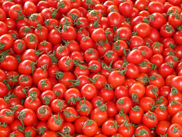 tomatoes-73913_640.jpg