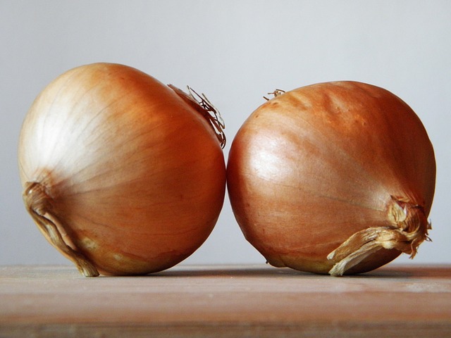 onion-179474_640.jpg