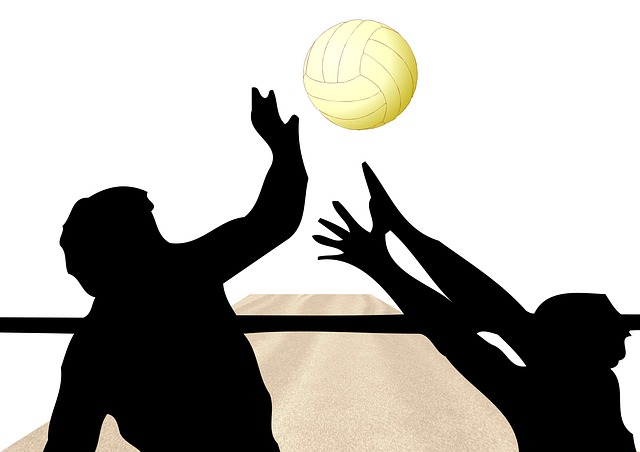 volleyball-78393_640.jpg