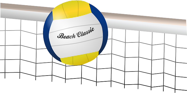 volleyball-155950_640.png
