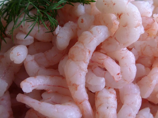 shrimp-53807_640.jpg