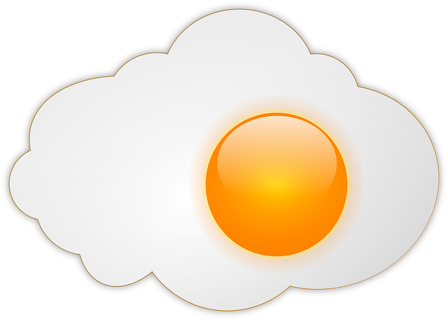 egg-sunny-side-up-155116_640.png
