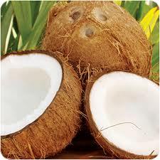 코코넛4.jpg