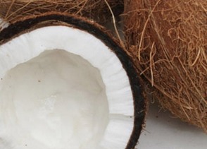 코코넛2.jpg