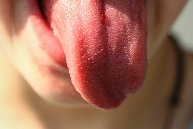 tongue-822441_640.jpg