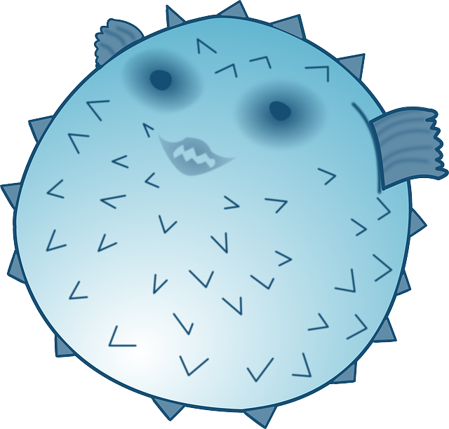 blowfish-154794_640.png