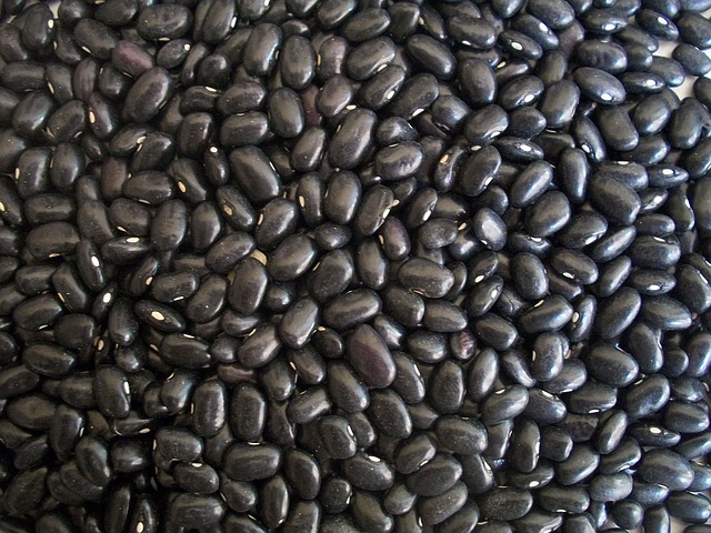 beans-14522_640.jpg