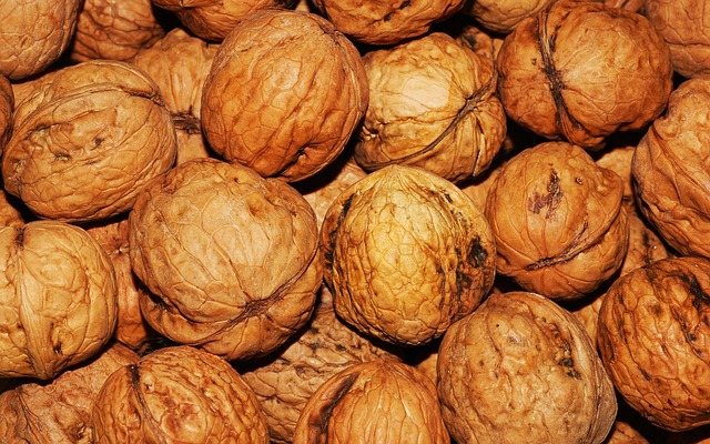 walnut-101425_640.jpg