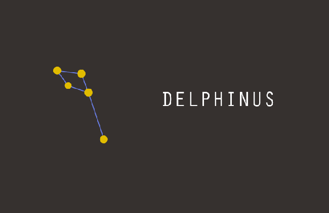 Delphinus.gif