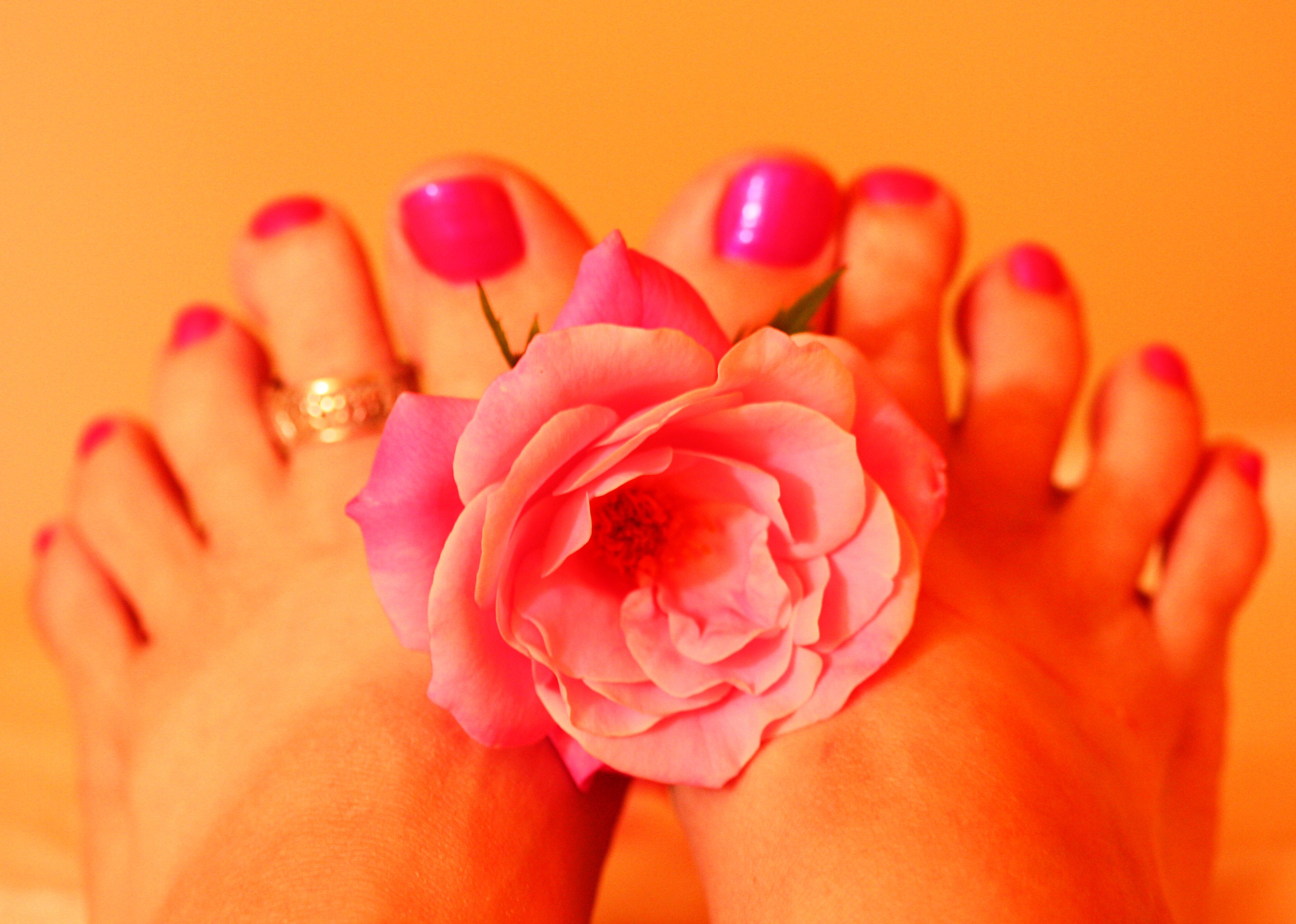 Woman_s_Feet_Holding_Pink_Rose_Fresh_Pedicure.jpeg