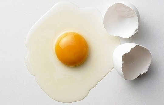 계란2.jpg