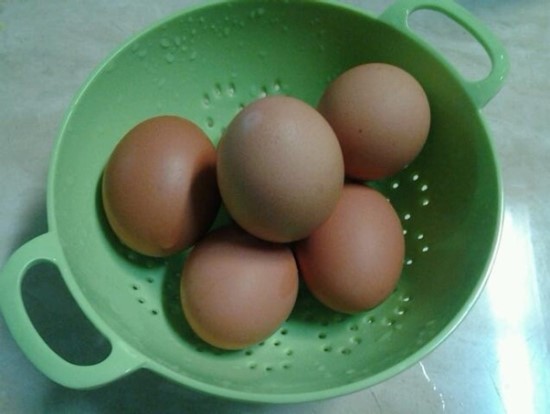 계란.jpg